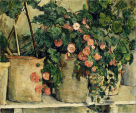 Cézanne, Begonia's