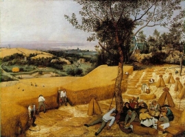 Bruegel, De oogsters