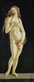Botticelli, Venus