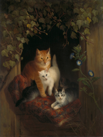 Ronner-Knip, Poes met jongen