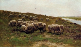 Mauve, Schapen op een dijk