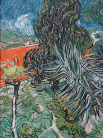 Van Gogh, Dokter Gachet's tuin in Auvers