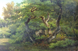 Springer, Groep eiken aan de rand van een bos