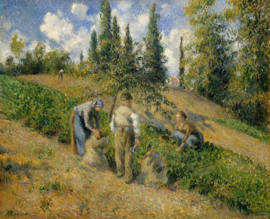 Pissarro, De oogst