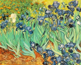 Van Gogh, Irissen