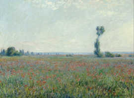 Monet, Klaprozenveld