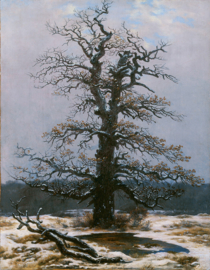 Friedrich, Eik in de sneeuw