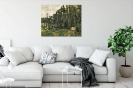 Cézanne, Populieren