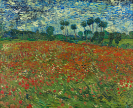 Van Gogh, Papaverveld