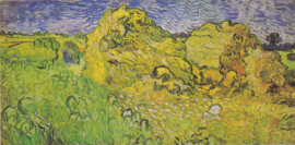 Van Gogh, Veld met korenschoven