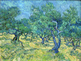 Van Gogh, Olijfgaard