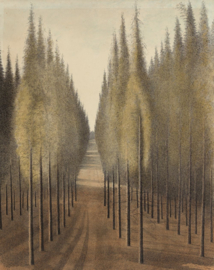 Spilliaert, De brandgang