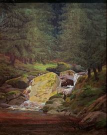 Friedrich, Sparrenbos met een waterval