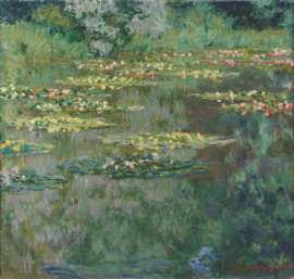 Monet, Waterleliebekken