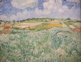 Van Gogh, Vlakte bij Auvers