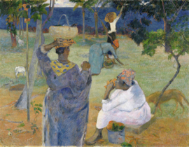 Gauguin, De mangobomen