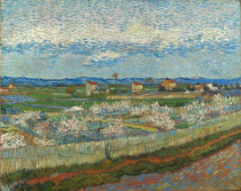 Van Gogh, Perzikbomen in bloei
