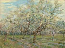 Van Gogh, De witte boomgaard