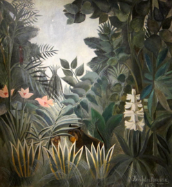 Rousseau, De Ecuadoriaanse jungle