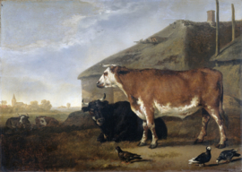 Cuyp, Twee ossen bij een boerderij