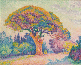 Signac, De dennenboom van Saint-Tropez