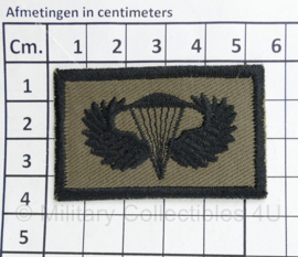 Bundeswehr parawing US Made -   5,5 x 3,5 cm - origineel