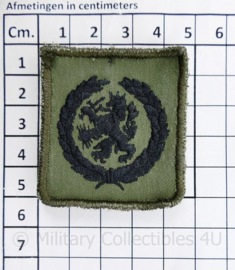 Defensie borst brevet embleem Algemeen Functiebekwaamheidsembleem - met klittenband - 5 x 5 cm - origineel