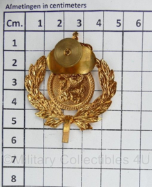 Defensie DT pet insigne officier  - 5,5 x 4,5 cm - origineel
