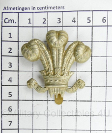 Britse WO2 cap badge Royal Wiltshire Yeomanru - kings Crown  - 5 x 5 cm - origineel