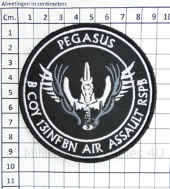 Pegasus B Coy 13INFBAT Air Assault RSPB embleem - met klittenband - diameter 9 cm