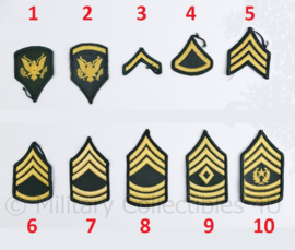US Army Vietnam oorlog rang emblemen paar DAMES - origineel