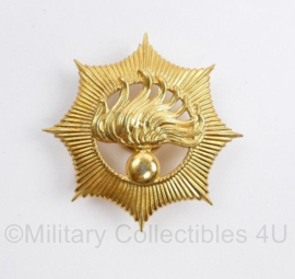 Korps Rijkspolitie te water pet insigne goudkleurig - 6 x 6 cm - origineel