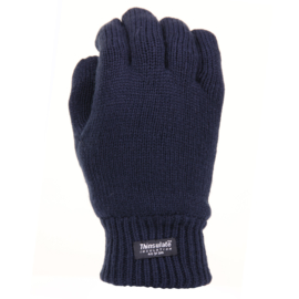 Handschoenen met warme Thinsulate voering - Blauw