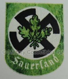 Sauerland decal - 3-074