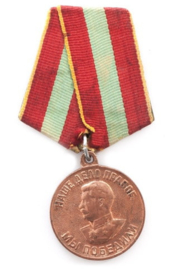 Russische medaille Patriotoc home defence medal  - origineel