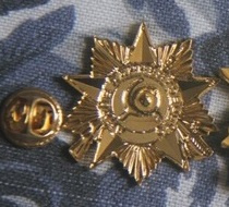 Russische wo2 speld van de Patriotic War Medal ZILVER