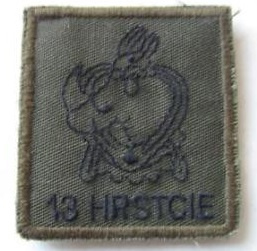 KL Nederlandse leger eenheid borstembleem 13 Herstelcompagnie 13HRSTCIE met klittenband - origineel