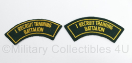 Britse leger I Recruit Training Battalion shoulder titles PAAR - 11,5 x 5 cm - origineel