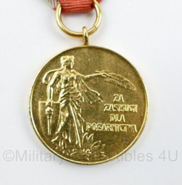 Poolse leger Merit Voluntary Fire Brigades Association medaille - 10 x 4 cm - origineel