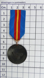 Deense leger Hærvejsmarchen Viborg Wandeltocht medaille - 9,5 x 3,5 cm - origineel