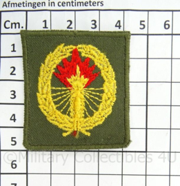 KL Landmacht vaardigheids borst embleem Vuursteun voor op het GVT - afmeting 4 x 5 cm - origineel