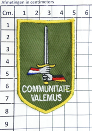 Defensie DT2000 mouw embleem Duits Nederlands Corps Communitate Valemus - 8 x 5 cm - origineel