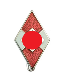 HJ Hitl. Jugend lidmaatschaps pin - replica