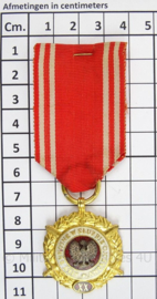 Poolse medaille 20 jaar trouwe dienst - afmeting 4 x 10,5 cm - origineel