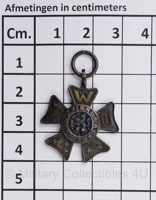 Avondvierdaagse medaille - 3 x 4 cm - origineel