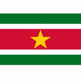 Vlag Suriname - Polyester -  1 x 1,5 meter