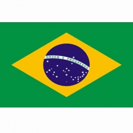 Vlag Brazilie - Polyester -  1 x 1,5 meter