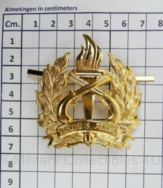 Surinaamse Politie korps insigne goud - Viribus Audax - 7 x 6 cm - origineel