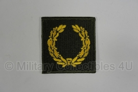 Meritious Service Unit badge patch