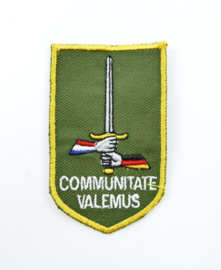Defensie DT2000 mouw embleem Duits Nederlands Corps Communitate Valemus - 8 x 5 cm - origineel
